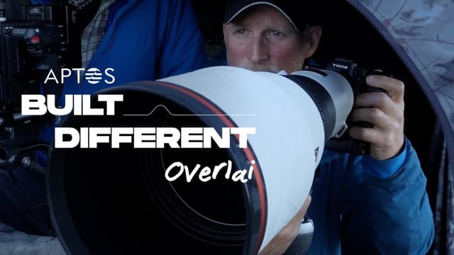 Shelby promotional content